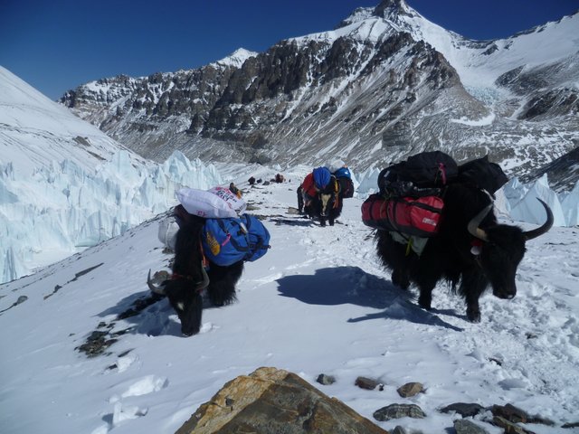 Everest Advanced Base camp trek